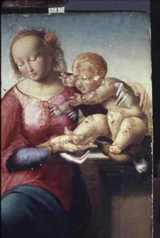 Swoger, Arthur — Anonimo fiorentino - sec. XVI - Madonna con Bambino — particolare, durante la pulitura